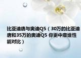 比亚迪唐与奥迪Q5（30万的比亚迪唐和35万的奥迪Q5 你更中意谁性能对比）
