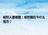 哈烈人是哪里（哈烈国在今什么地方）