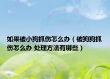 如果被小狗抓伤怎么办（被狗狗抓伤怎么办 处理方法有哪些）