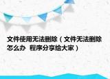 文件使用无法删除（文件无法删除怎么办  程序分享给大家）
