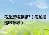 乌龙是啥意思?（乌龙指是啥意思）