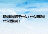 阴刻阳刻属于什么（什么是阴刻什么是阳刻）