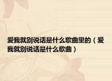 爱我就别说话是什么歌曲里的（爱我就别说话是什么歌曲）