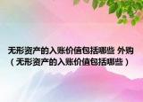 无形资产的入账价值包括哪些 外购（无形资产的入账价值包括哪些）