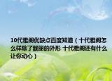 10代雅阁优缺点百度知道（十代雅阁怎么样除了靓丽的外形 十代雅阁还有什么让你动心）