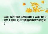 云南白药牙膏怎么辨别真假（云南白药牙膏怎么辨别  记住下面的选购技巧和方法）