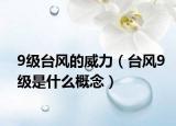 9级台风的威力（台风9级是什么概念）