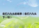 春打六九头的意思（春打六九头下一句）