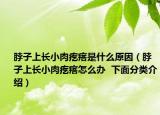 脖子上长小肉疙瘩是什么原因（脖子上长小肉疙瘩怎么办  下面分类介绍）