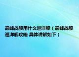 巅峰战舰用什么巡洋舰（巅峰战舰巡洋舰攻略 具体讲解如下）