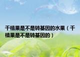 千禧果是不是转基因的水果（千禧果是不是转基因的）