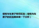 樱桃与车厘子有何区别（樱桃与车厘子的区别具体做一下分析）