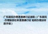 广东居民办理港澳通行证流程（广东居民-办理旅游往来港澳通行证 如何办理这样的手续）