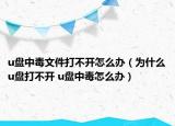 u盘中毒文件打不开怎么办（为什么u盘打不开 u盘中毒怎么办）