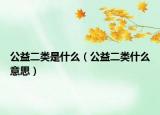 公益二类是什么（公益二类什么意思）