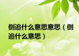 倒追什么意思意思（倒追什么意思）
