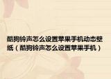 酷狗铃声怎么设置苹果手机动态壁纸（酷狗铃声怎么设置苹果手机）