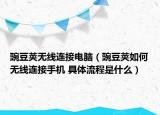 豌豆荚无线连接电脑（豌豆荚如何无线连接手机 具体流程是什么）