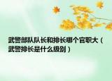 武警部队队长和排长哪个官职大（武警排长是什么级别）