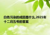 白色污染的成因是什么,2021年十二月五号的答案