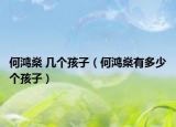 何鸿燊 几个孩子（何鸿燊有多少个孩子）