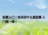 股票入门（告诉你什么是股票 入门第一课）