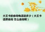 大王卡的查询电话是多少（大王卡话费查询 怎么查询呢）