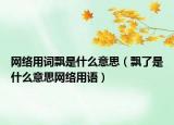 网络用词飘是什么意思（飘了是什么意思网络用语）