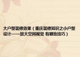 大户型装修效果（重庆装修知识之小户型设计——放大空间视觉 有哪些技巧）