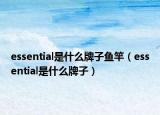 essential是什么牌子鱼竿（essential是什么牌子）