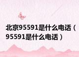 北京95591是什么电话（95591是什么电话）