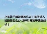 小孩处于叛逆期怎么办（孩子进入叛逆期怎么办 这样引导孩子健康成长）