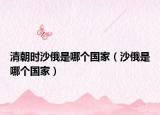 清朝时沙俄是哪个国家（沙俄是哪个国家）