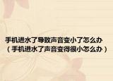 手机进水了导致声音变小了怎么办（手机进水了声音变得很小怎么办）