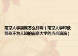 南京大学到底怎么样啊（南京大学印象 那些不为人知的南京大学的点点滴滴）