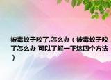 被毒蚊子咬了,怎么办（被毒蚊子咬了怎么办 可以了解一下这四个方法）