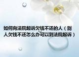 如何向法院起诉欠钱不还的人（别人欠钱不还怎么办可以到法院起诉）