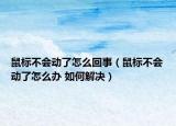 鼠标不会动了怎么回事（鼠标不会动了怎么办 如何解决）