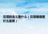 贝塔的含义是什么（贝塔暗语是什么意思）