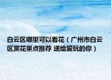 白云区哪里可以看花（广州市白云区赏花景点推荐 送给爱玩的你）