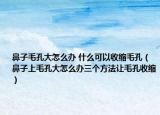 鼻子毛孔大怎么办 什么可以收缩毛孔（鼻子上毛孔大怎么办三个方法让毛孔收缩）