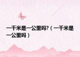 一千米是一公里吗?（一千米是一公里吗）