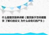 什么是期货简单讲解（期货新手怎样做期货 了解它的定义 为什么会有它的产生）