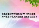 水库小罗非鱼太多怎么钓鱼 钓鱼吧（水库钓鱼小罗非太多怎么办 应该怎么处理）