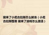 猪来了小尼古拉斯怎么解冻（小尼古拉斯怪兽 猪来了游戏怎么激活）