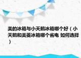 美的冰箱与小天鹅冰箱哪个好（小天鹅和美菱冰箱哪个省电 如何选择）