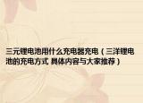三元锂电池用什么充电器充电（三洋锂电池的充电方式 具体内容与大家推荐）