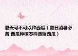 夏天可不可以种西瓜（夏日消暑必备 西瓜种植怎样选留西瓜）