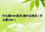 什么是vlan技术,有什么特点（什么是vlan）