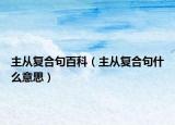 主从复合句百科（主从复合句什么意思）